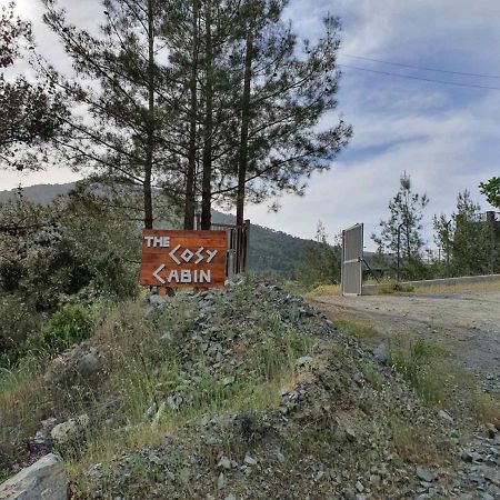 The Cosy Mountain Cabin With Stunning Views Near Troodos Kato Amiandos Exteriör bild