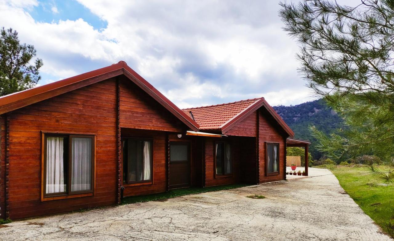 The Cosy Mountain Cabin With Stunning Views Near Troodos Kato Amiandos Exteriör bild