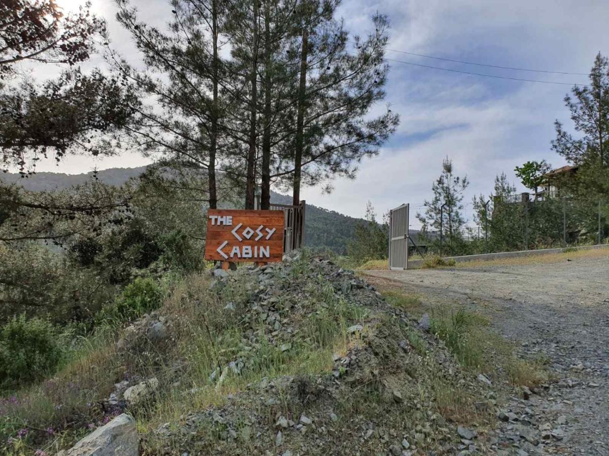 The Cosy Mountain Cabin With Stunning Views Near Troodos Kato Amiandos Exteriör bild