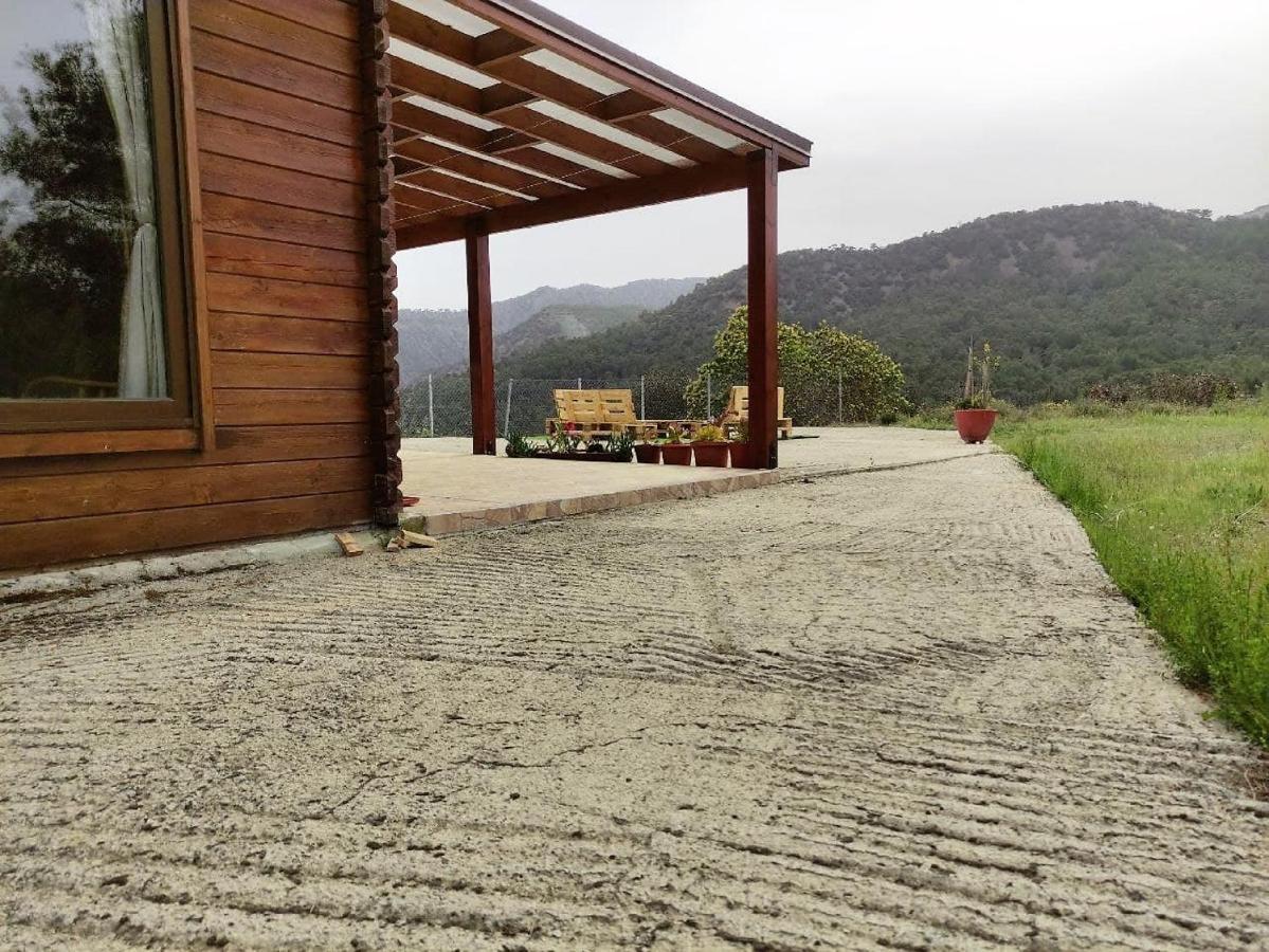The Cosy Mountain Cabin With Stunning Views Near Troodos Kato Amiandos Exteriör bild